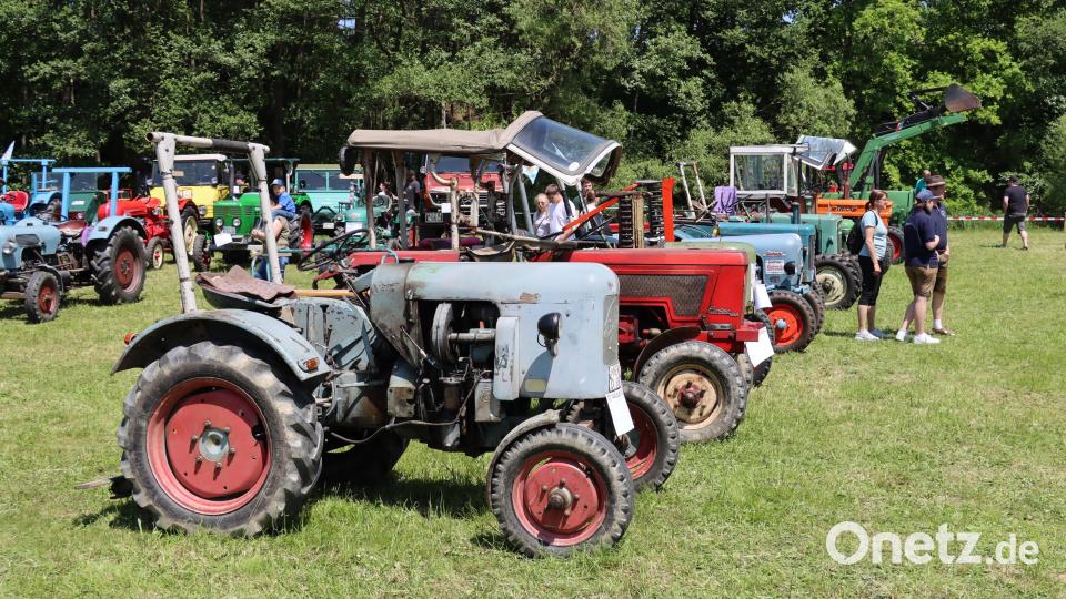 Jeder dieser Oldies hat eine jahrzehntelange und meist arbeitsreiche Geschichte. Bild: frd