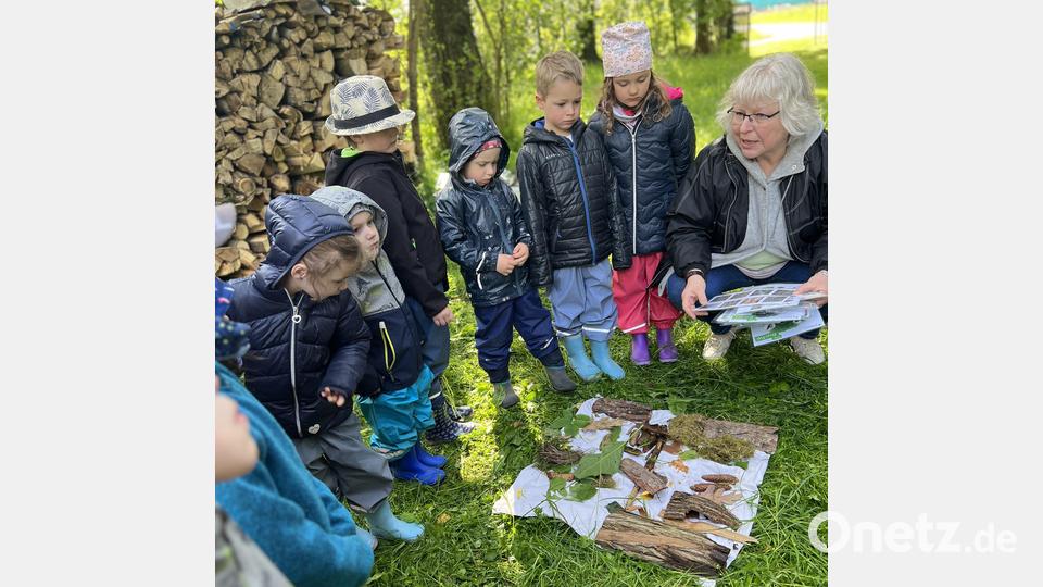 Was gehört zu welchem Baum? Bärbel Probst erklärte den Kindern Rinde, Nadeln und Blätter. Bild: Kielhorn/exb