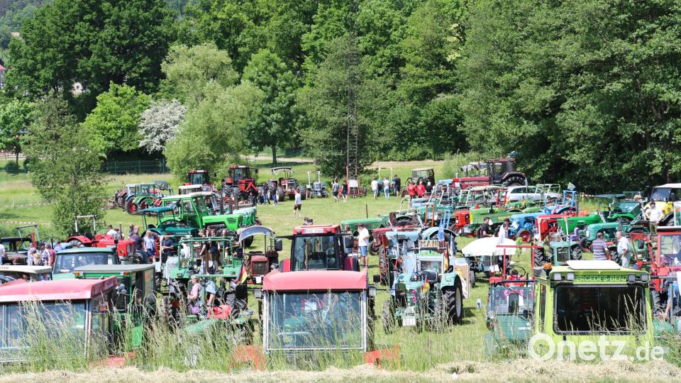 Traktor reihte sich an Traktor: Fast 170 Besitzer waren mit ihren Schätzen nach Pertolzhofen gekommen. Bild: frd