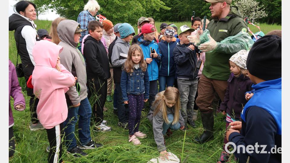 Zu einer Wärmflasche mitten in der Wiese lotste die Drohne die Kinder und das Lehrpersonal. Diese diente am Aktionstag der Naturpark-Schule Friedenfels als Ersatz für ein Rehkitz. Bild: bsc