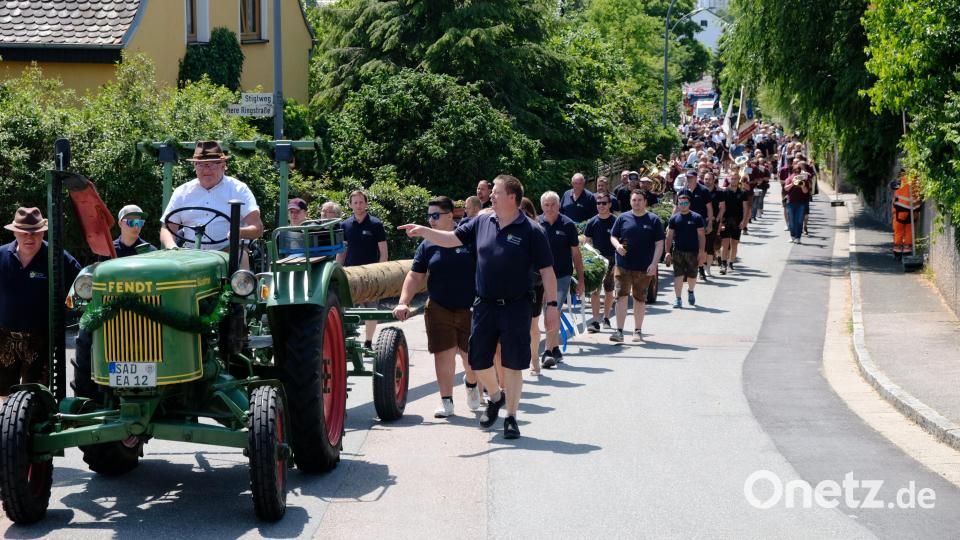 Ein langer Zug von Vereinsmitgliedern begleitet den Baum auf den Miesberg. Bild: mab