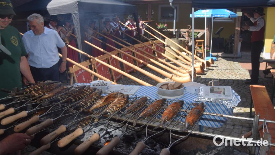 Fisch mit Musik. Leckere Makrelen vom Grill und dazu die Klänge aus zehn Alphörnern. Die Fischerfreunde Neuhaus-Windischeschenbach haben ein gelungenes zweitägiges fest organisiert. Bild: fz
