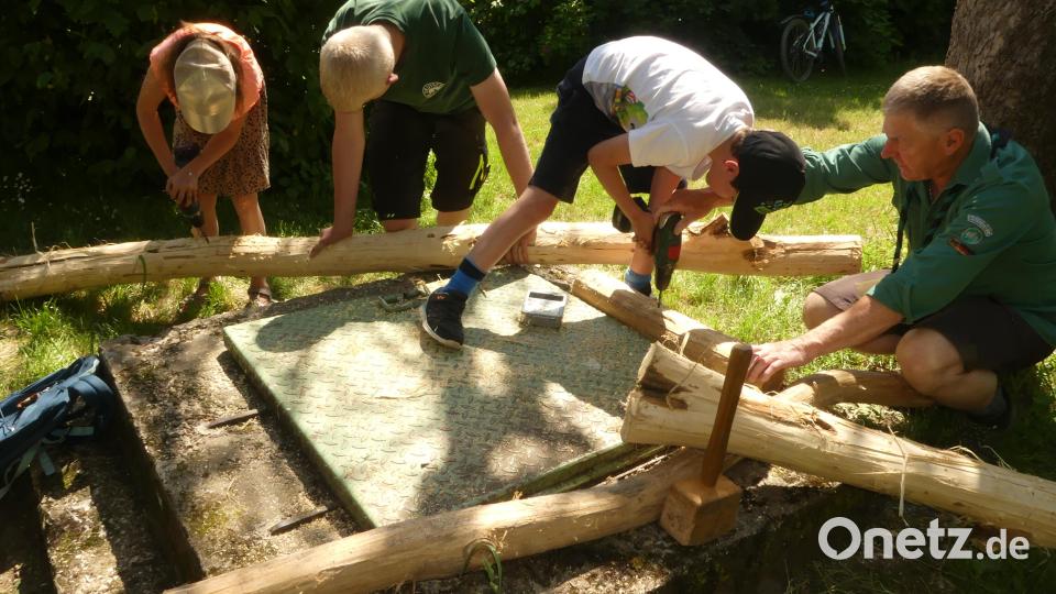 Die mit Insektenlöchern versehenen Akazienstämme werden als Einrahmung des Sandariums dienen. Bild: rn