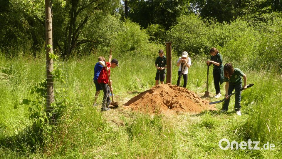 Das Sandarium wird die Heimat von Erdbienen und Ameisenlöwen. Bild: rn