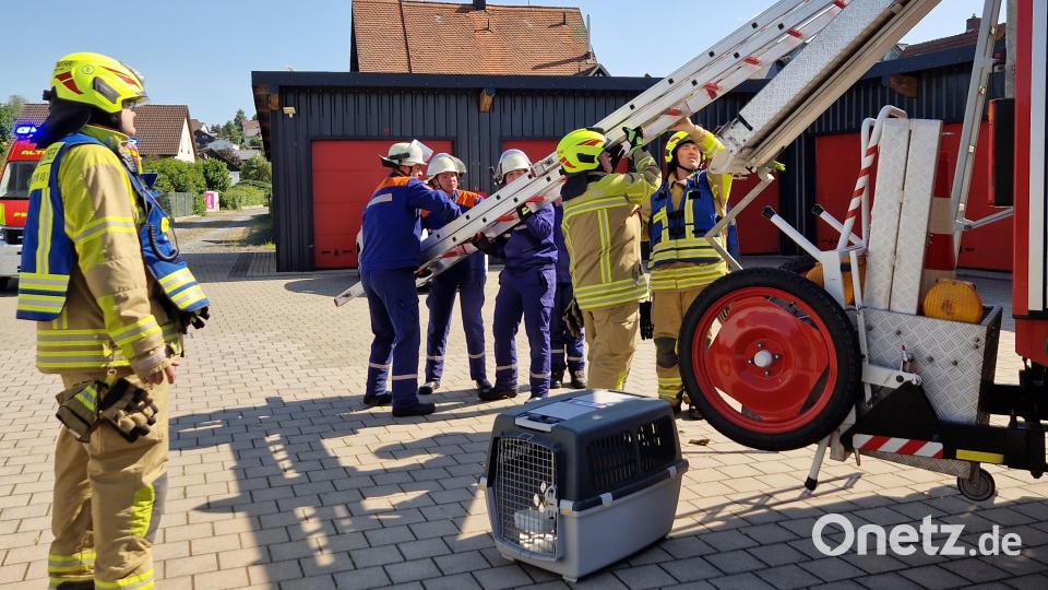 24 Stunden übte die Jugendfeuerwehr Altenstadt am Wochenende alle möglichen Szenarien. Bild: Feuerwehr Altenstadt/exb