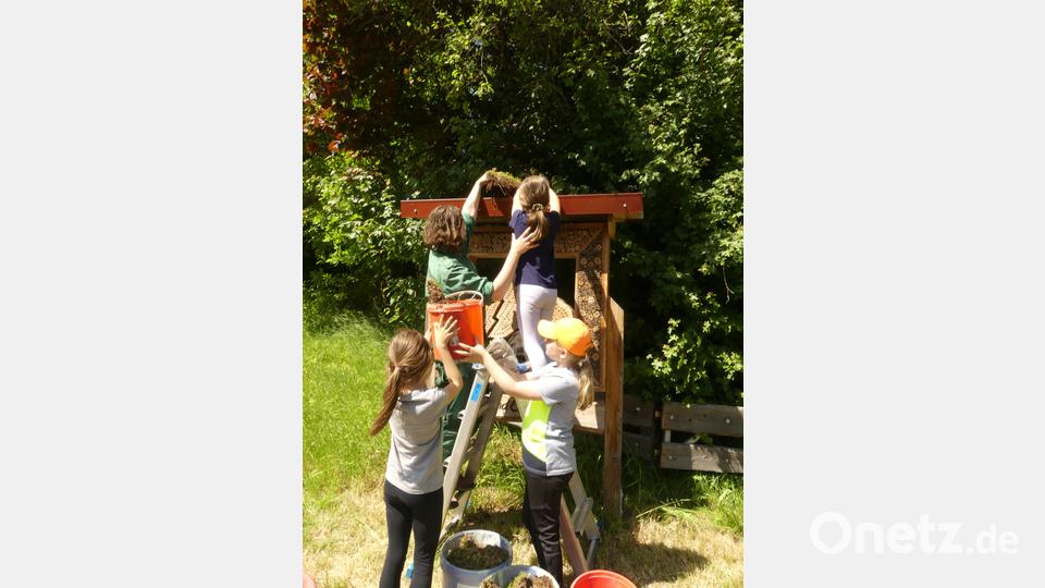 Das Insektenhotel erhielt eine Bedachung aus Moos und Waldboden. Bild: rn