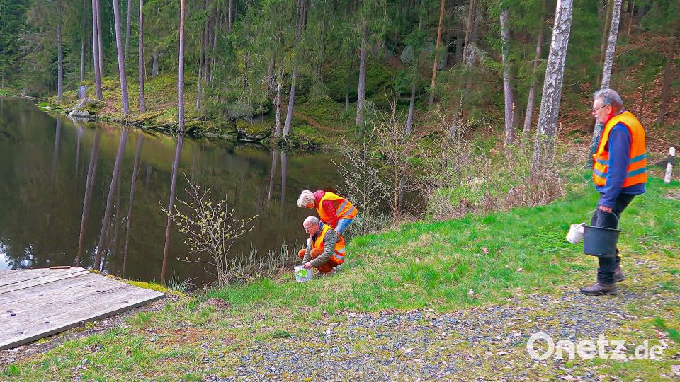 Am Griesweiher werden Frosch und Co. wieder in die Freiheit entlassen. Bild: bsc