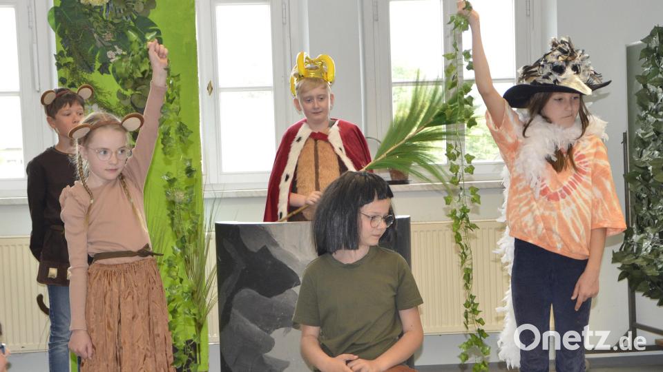 Die Affen haben Mogli entführt. Bild: zch
