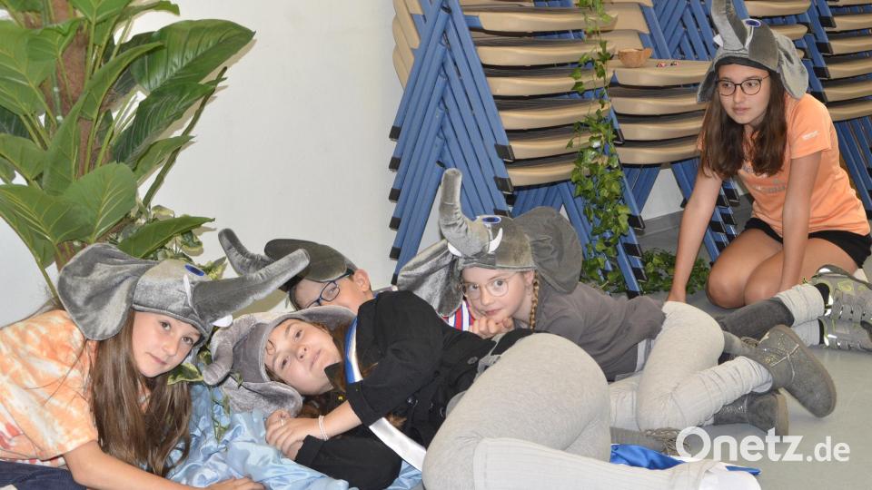 Noch schlafen die Elefanten. Aber schon bald steht das Kinder- und Jugendmusiktheater der Kreismusikschule mit dem Musical Dschungelbuch auf der Bühne. Bild: zch