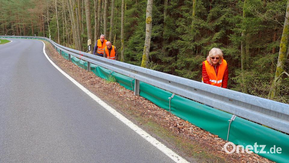 Ein 150 Meter langer Schutzzaun hat sich bewährt. Robert Mertl, Dr. Siegfried Steinkohl und Rita Steinkohl (von links) sammelten täglich Amphibien ein und setzten sie in das gegenüberliegende Gewässer. Bild: bsc