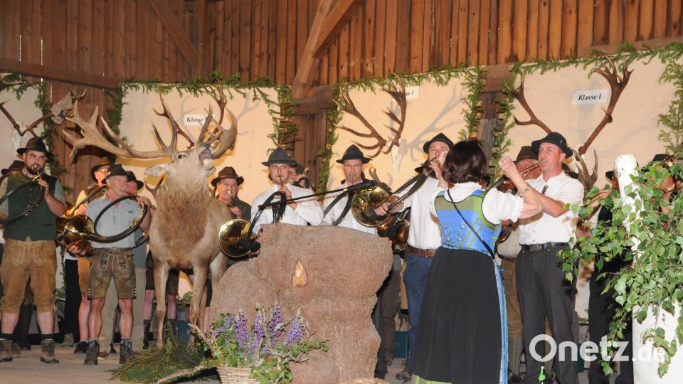 Die Bläser gaben ihr Bestes, der Hirsch auf der Bühne schien sie anzufeuern. Bild: ge