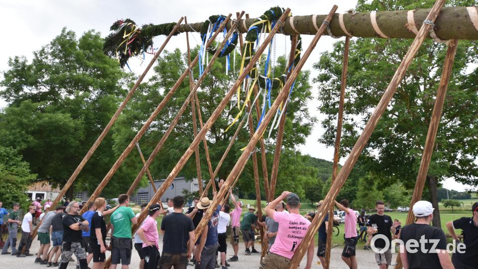 Zahlreiche Helfer packten mit an, um den mächtigen Baum, in Handarbeit, an seinen Standort zu bringen und als Wahrzeichen der Kirwa aufzustellen. Bild: no