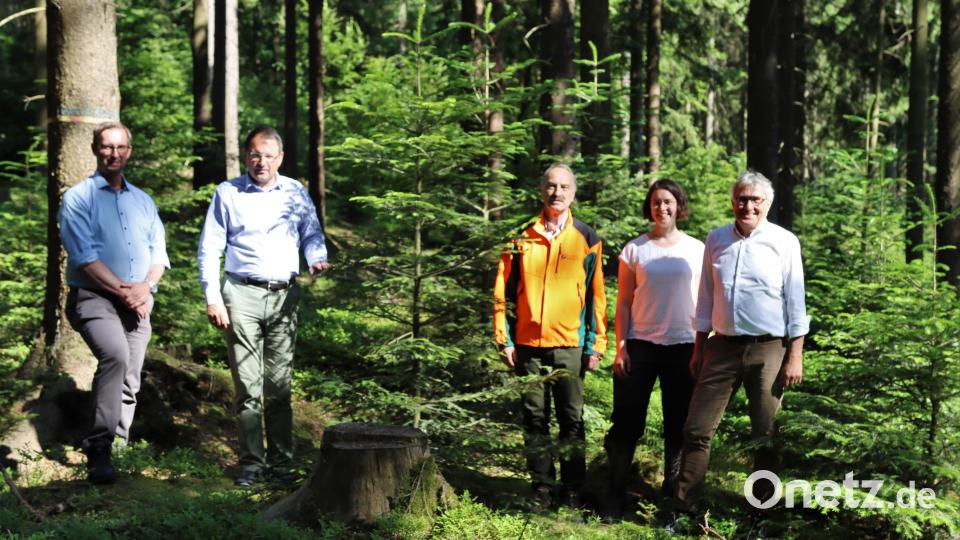 Der Beirat der Bayerischen Staatsforsten, ein Vertreter der Region ist MdL Martin Schöffel (Zweiter von links), war beim Forstbetrieb Fichtelberg zu Gast, die Bayrischen Staatsforsten waren durch ihre Vorstände Reinhardt Neft (Waldbau- und Jagdvorstand, rechts) und Manfred Kröninger (Finanzvorstand, links) sowie Winfried Pfahler, Leiter des Forstbetriebs Fichtelberg vertreten. Mit im Bild Franziska Riegert, bei den Staatsforsten für die Moorrenaturierung zuständig. Bild: Harald Judas