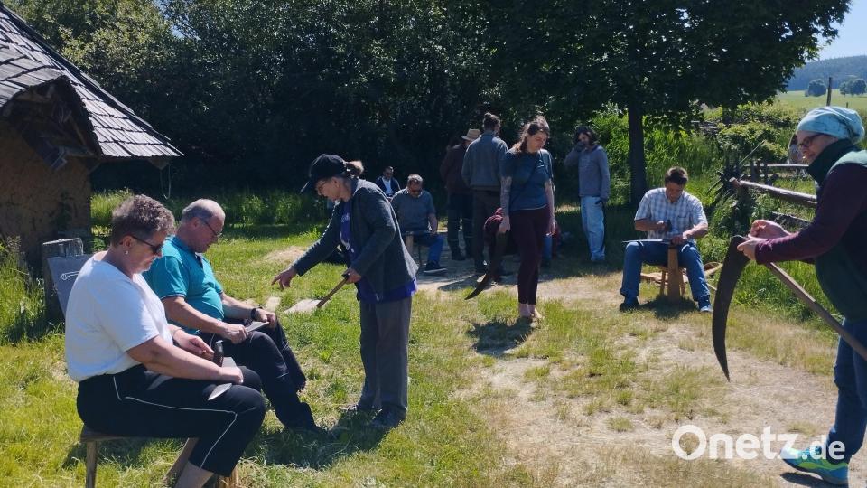 Bei einem Kurs lernten Teilnehmer im Geschichtspark Bärnau-Tachov den richtigen Umgang mit Sense und Sichel. Bild: jba