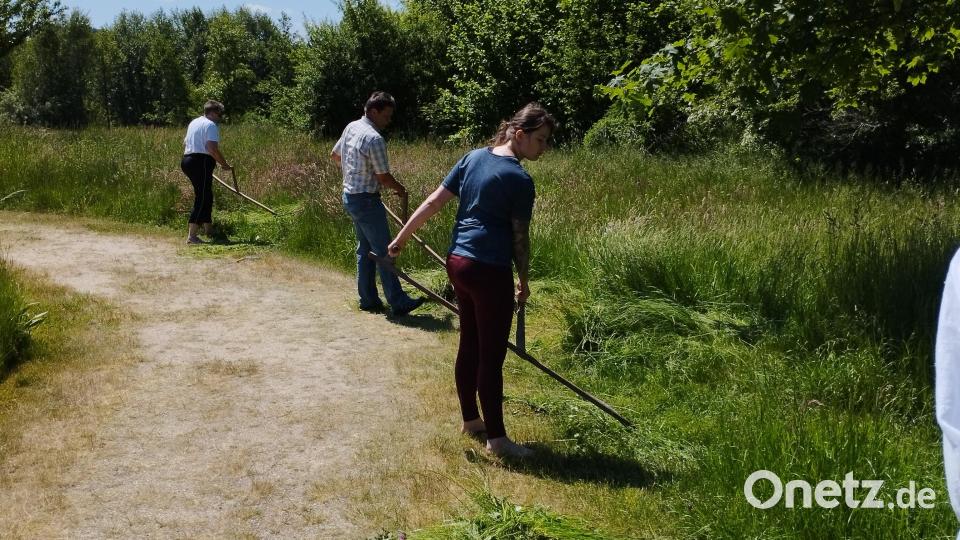 Bei einem Kurs lernten Teilnehmer im Geschichtspark Bärnau-Tachov den richtigen Umgang mit Sense und Sichel. Bild: jba