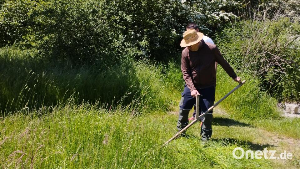 Bei einem Kurs lernten Teilnehmer im Geschichtspark Bärnau-Tachov den richtigen Umgang mit Sense und Sichel. Bild: jba