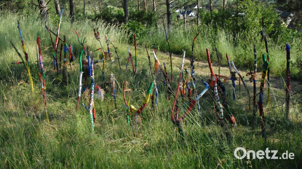 Bunte Farbtupfer im Schatten der Bäume Bild: pop
