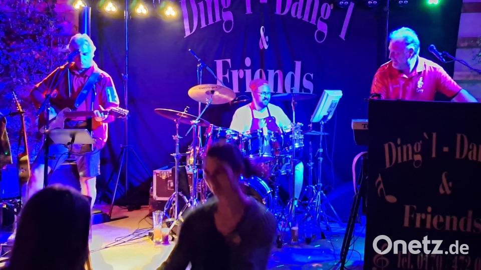 Dingldangl und Friends sorgten mit fetziger Unterhaltungsmusik für gute Stimmung. Ein kurzes Gastspiel am Schlagzeug gab hier Felix Bauernfeind. Bild: myd