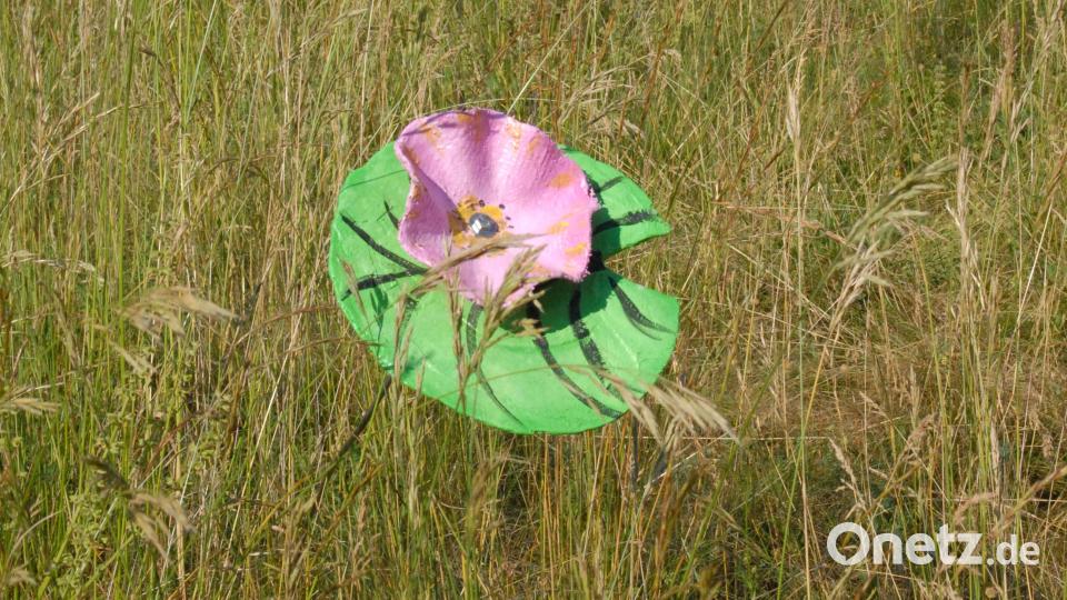 Blumen mal anders. Bild: pop