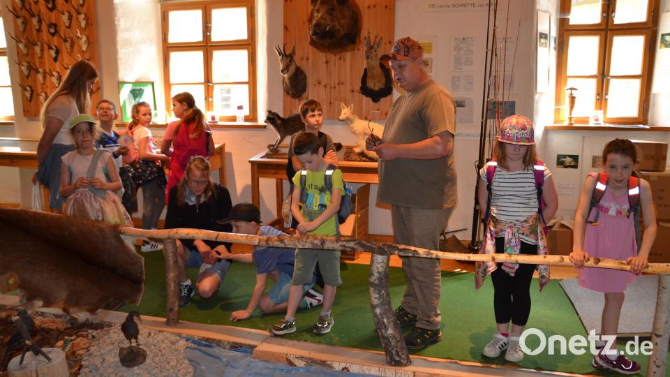 Der Leiter des Jagdmuseums im Schloss Burgtreswitz Martin Götz erzählte den Kindern der Ferienbetreuung viele Dinge über die Tiere in Wald und Flur und deren Schutz durch die Jäger. Bild: gi