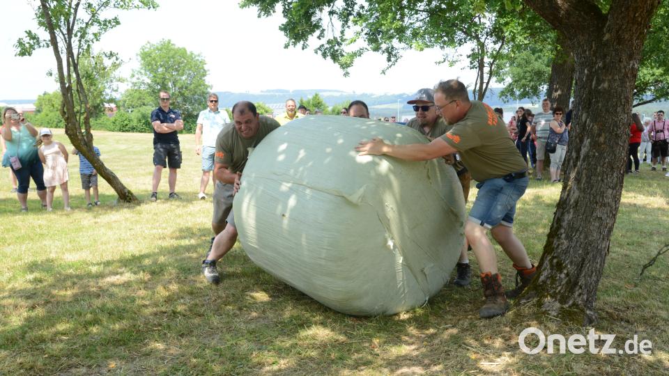 Die Mitarbeiter des gemeindlichen Bauhofes kämpfen sich mit der riesigen Rolle Heu ab, die im Slalom zwischen den Bäumen zuerst bergab gelenkt und wieder bergab zu schieben ist. Bild: bey