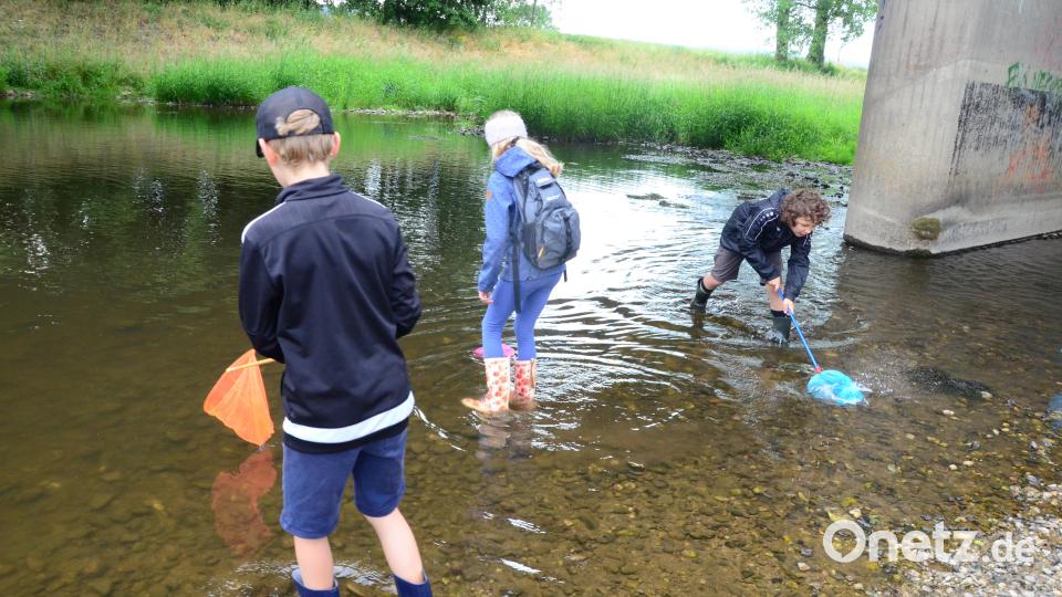 Die Wasserqualität im Flutkanal ist gar nicht mal so schlecht. Bild: Kunz
