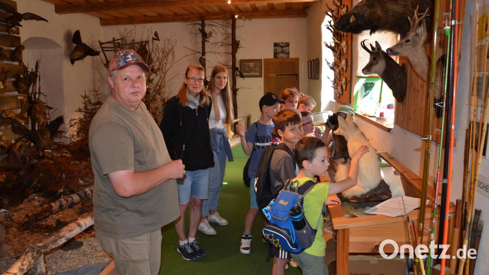 Der Leiter des Jagdmuseums im Schloss Burgtreswitz Martin Götz erzählte den Kindern der Ferienbetreuung viele Dinge über die Tiere in Wald und Flur und deren Schutz durch die Jäger. Bild: gi
