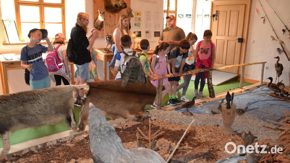Der Leiter des Jagdmuseums im Schloss Burgtreswitz Martin Götz erzählte den Kindern der Ferienbetreuung viele Dinge über die Tiere in Wald und Flur und deren Schutz durch die Jäger. Bild: gi