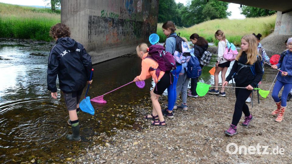 Mit Keschern bewaffnet, erkunden die Viertklässler der Clausnitzerschule den Flutkanal. Bild: Kunz