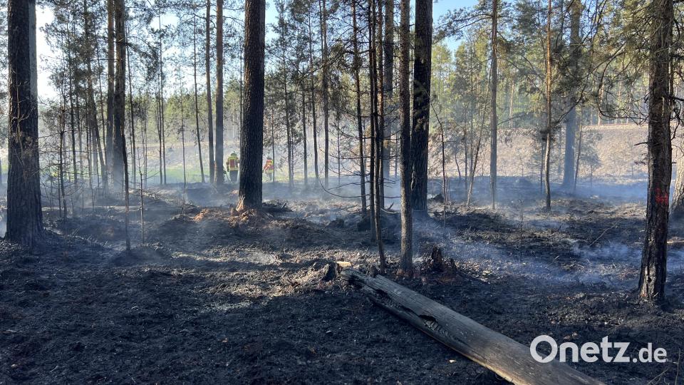 Das Feuer frisst sich auch in den angrenzenden Wald. Bild: Gustl Beer