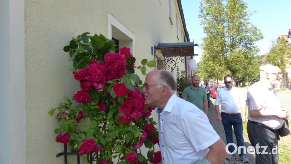 Mal riechen. Stellvertretender Landrat Albert Nickl musste einfach an der Kletterrose riechen Bild: hme