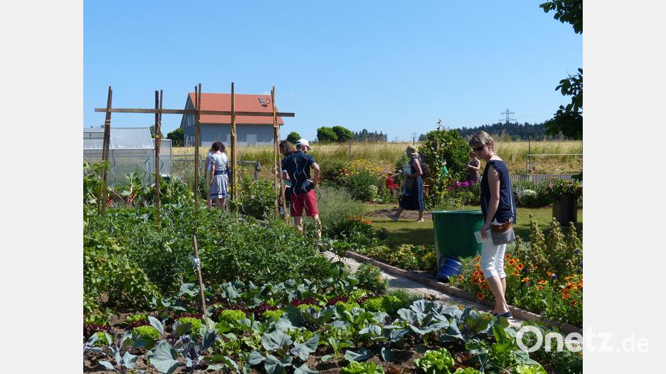 Gemüsebeete dürfen in einem Bauerngarten nicht fehlen. Viele bewundern die angelegte Fläche. Bild: hme