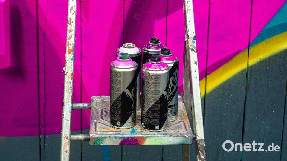 Ohne die geht nichts: Spraydose und Leiter. Bild: lum