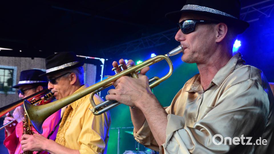 &quot;Wild Boy Heinz &amp; The Pontiacs&quot; auf der Hauptbühne. Bild: Kunz