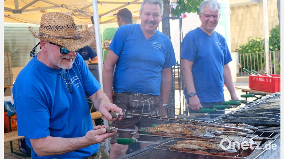 Solche Leckerbissen gehen immer, wie hier bei den Aquarianerfreunden. Bild: mab
