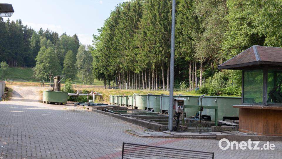 Im Außenbereich des Fischzuchtbetriebes Wendermühle, zu der auch eine Fischerhütte mit Gaststube gehört, stehen mehrere Becken. Bild: Susanne Forster