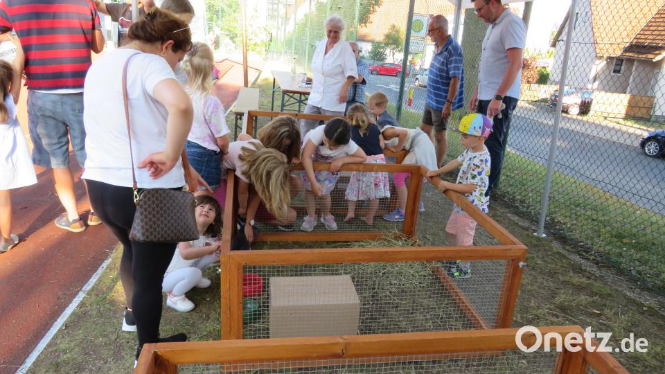 Fest rund ums Rathaus Altenstadt/WN Bild: adj