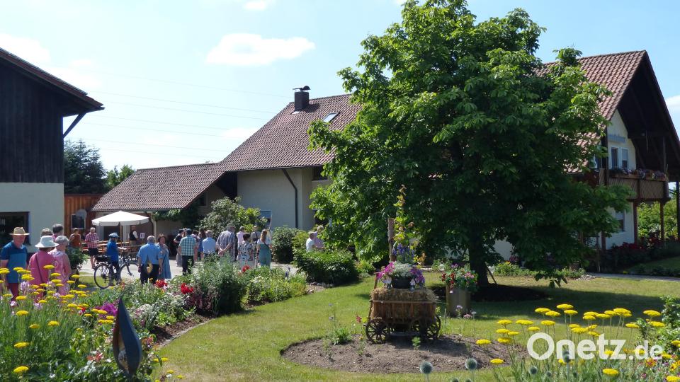 Einen vielfältigen Bauerngarten hat Familie Hammer. Bild: hme