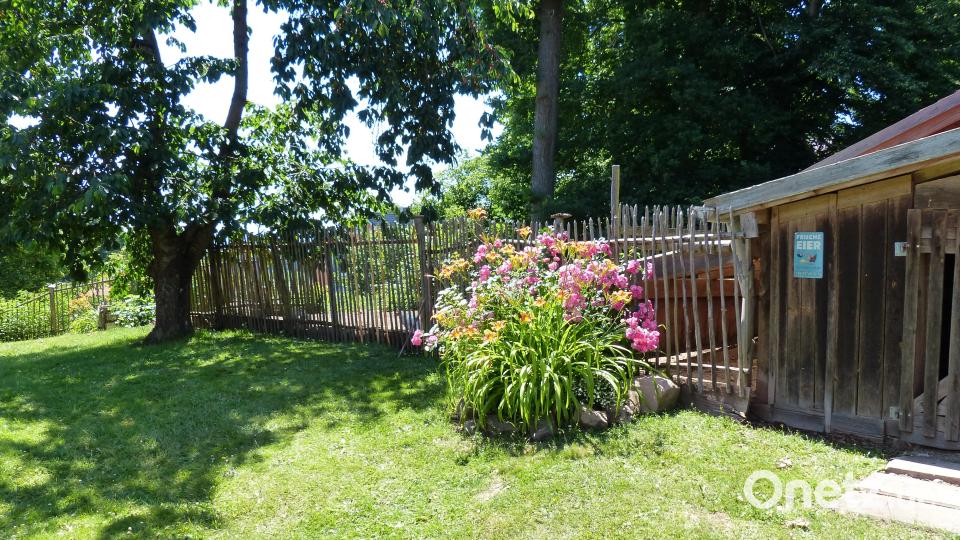 So kann man ein Hühnergehege auch gestalten Bild: hme