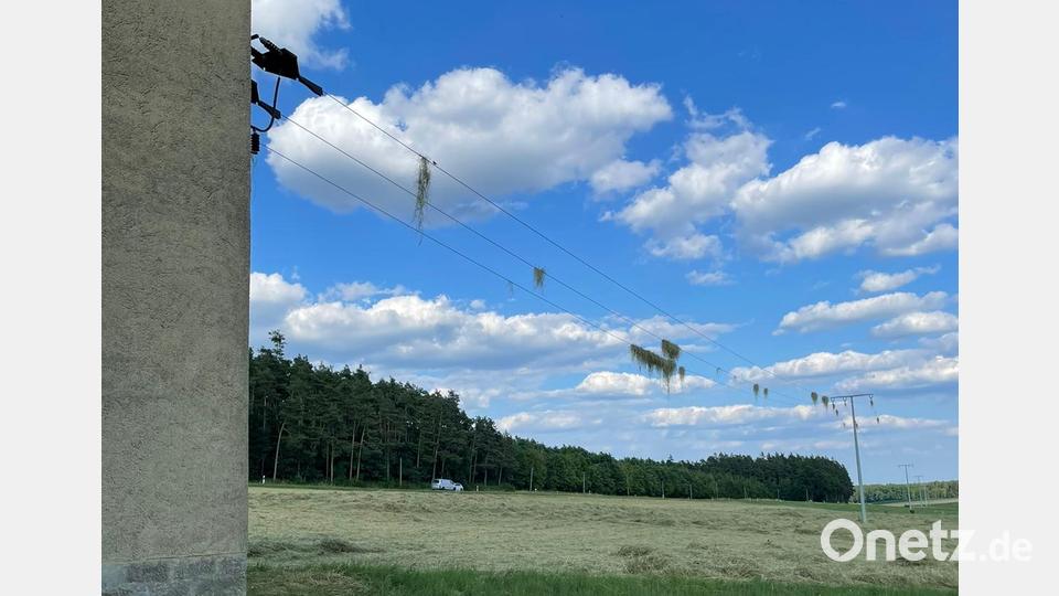 Wie auf einer Wäscheleine hängt das von einem Staubteufel aufgewirbelte Heu bei Ernstfeld in der Nähe von Schlammersdorf auf einer Stromleitung. Bild: Feuerwehr Schlammersdorf/exb