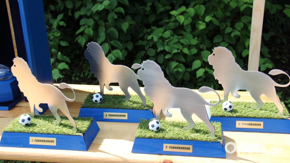 Das Lebendkickerturnier der Waldnaablöwen war für Kicker und Zuschauer ein Heidenspaß. Bild: prh