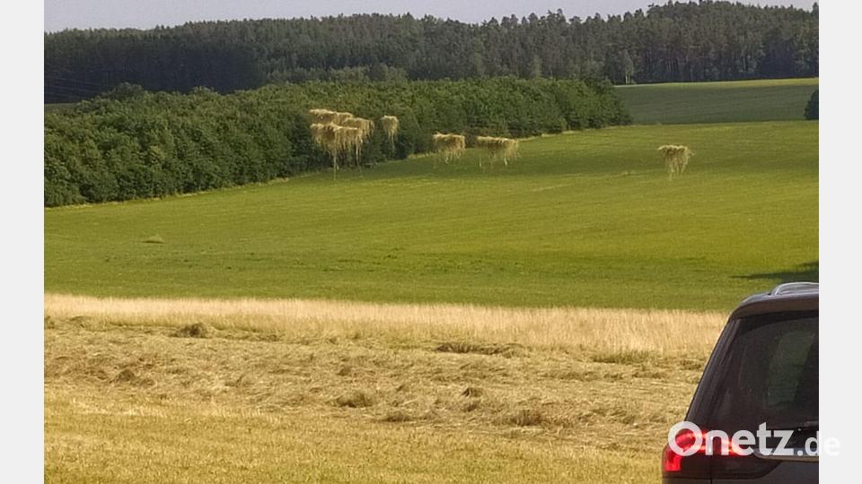 Das von einer Kleintrombe, wie ein Staubteufel auch genannt wird, aufgewirbelte Heu hängt bei Ernstfeld in der Nähe von Schlammersdorf auf einer Stromleitung. Bild: Feuerwehr Schlammersdorf/exb