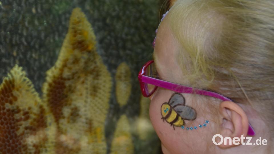 Die kleine Besucherin sucht die Königin im Schaukasten von &quot;Honig Maier&quot;. Bild: hcz