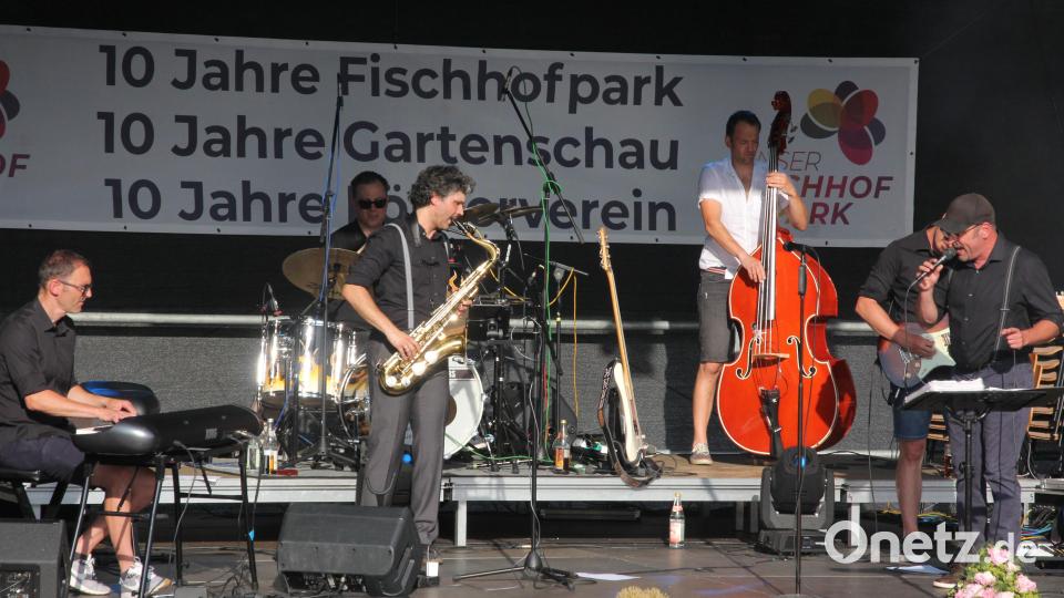 Die Havlicek Brothers in ihrem Element. Bild: kro
