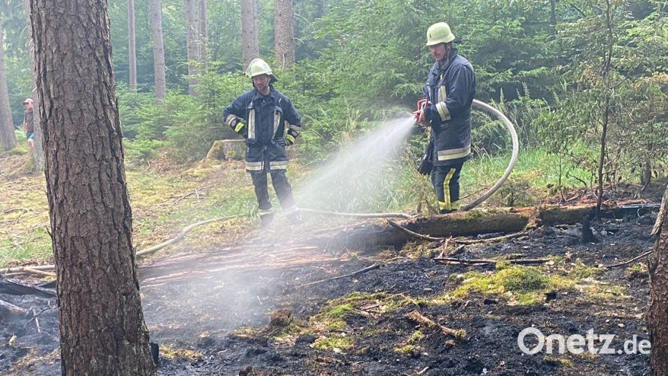 Dank eines Luftbeobachters wurde der Waldbrand bei Wolfsbach schnell entdeckt und gelöscht. Bild: Feuerwehr Wolfsbach