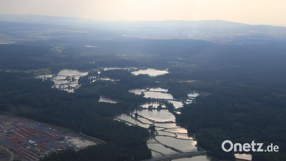 Die Teichlandschaft in Tirschenreuth. Bild: jak