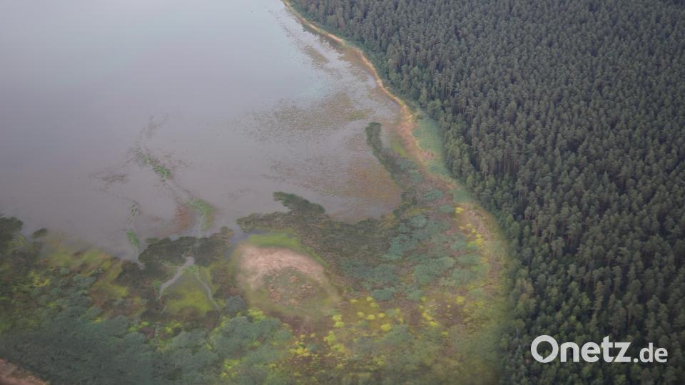 Diese Aussicht zeigt sich den Piloten und Luftbeobachtern der Luftrettungsstaffel vom Stützpunkt Weiden-Latsch. Bild: jak