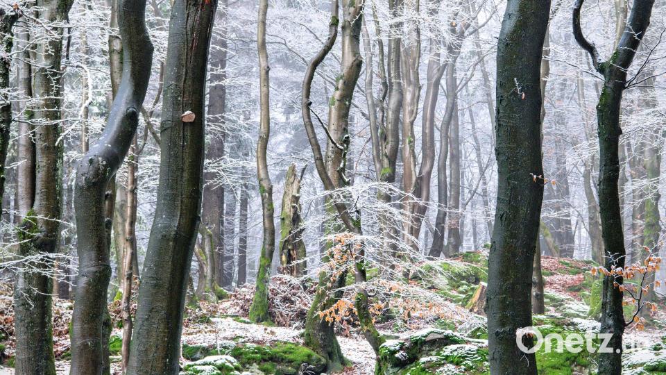 Oberpfalz-Impressionen von Kilian Schönberger Bild: Kilian Schönberger