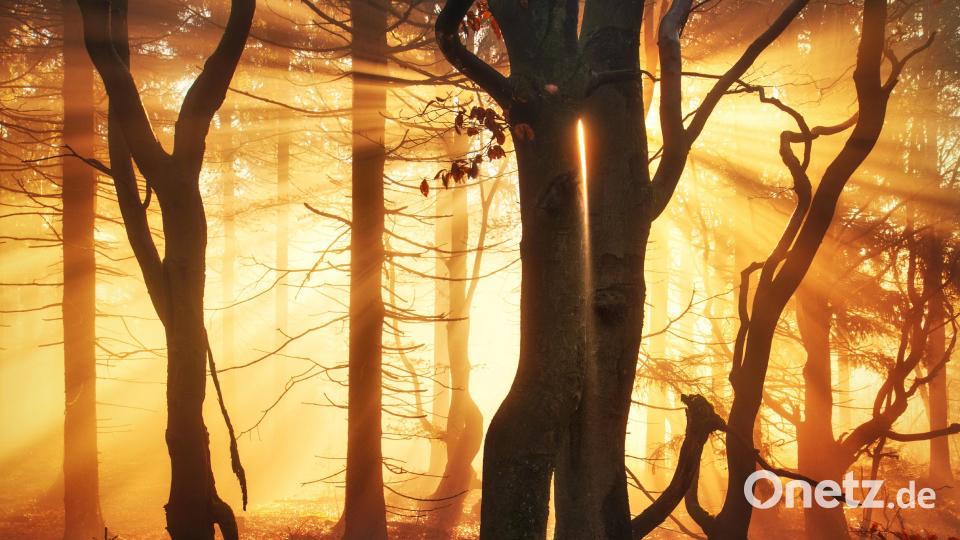 Oberpfalz-Impressionen von Kilian Schönberger Bild: Kilian Schönberger