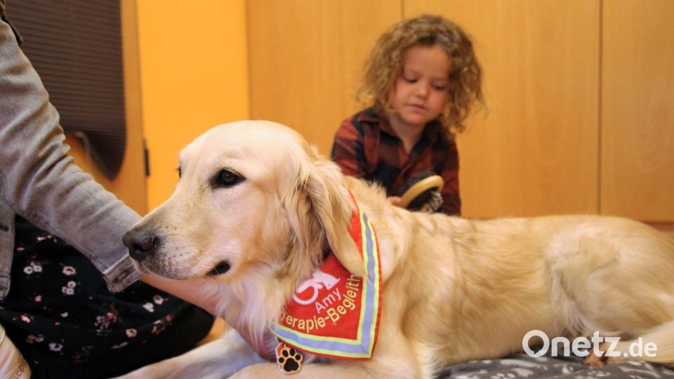 Immer zwei Kinder sind als Paten für Amy zuständig. Dann stehen Gassi gehen, bürsten und den Wassernapf reichen auf dem Programm. Bild: Mariella Kramer/exb